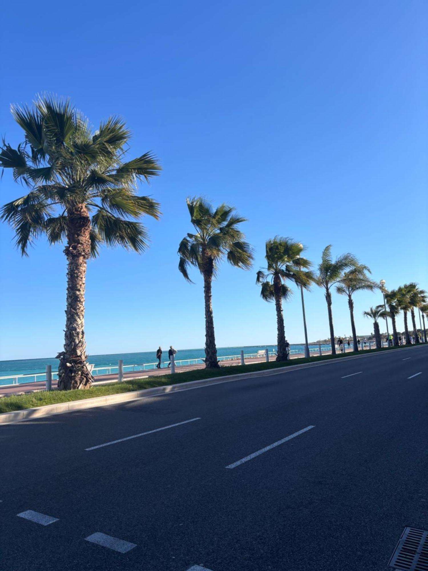 Grand Studio De 30 M2 Promenade Des Anglais Nizza Esterno foto
